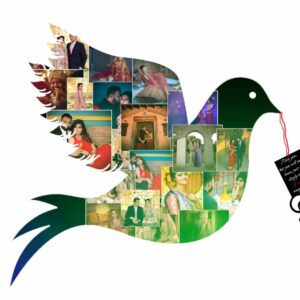 20 Photo Collage Flying Bird Acrylic Wall Photo | Anniversary And Birthday Gifting Photo 5 20 Photo Collage Flying Bird Acrylic Wall Photo | Anniversary And Birthday Gifting For Family