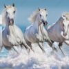 Three Horse Acrylic Photo Print Wall Art Housewarming Gift Ideas